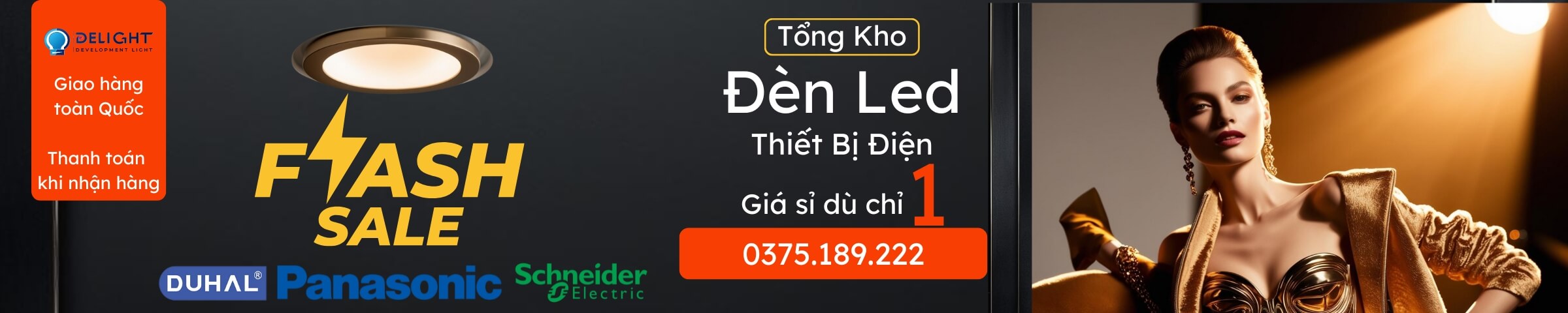 DeLight Tổng Kho Thiết Bị Điện Top Banner